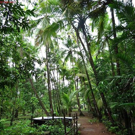 Saaj Resort Dāpoli Extérieur photo