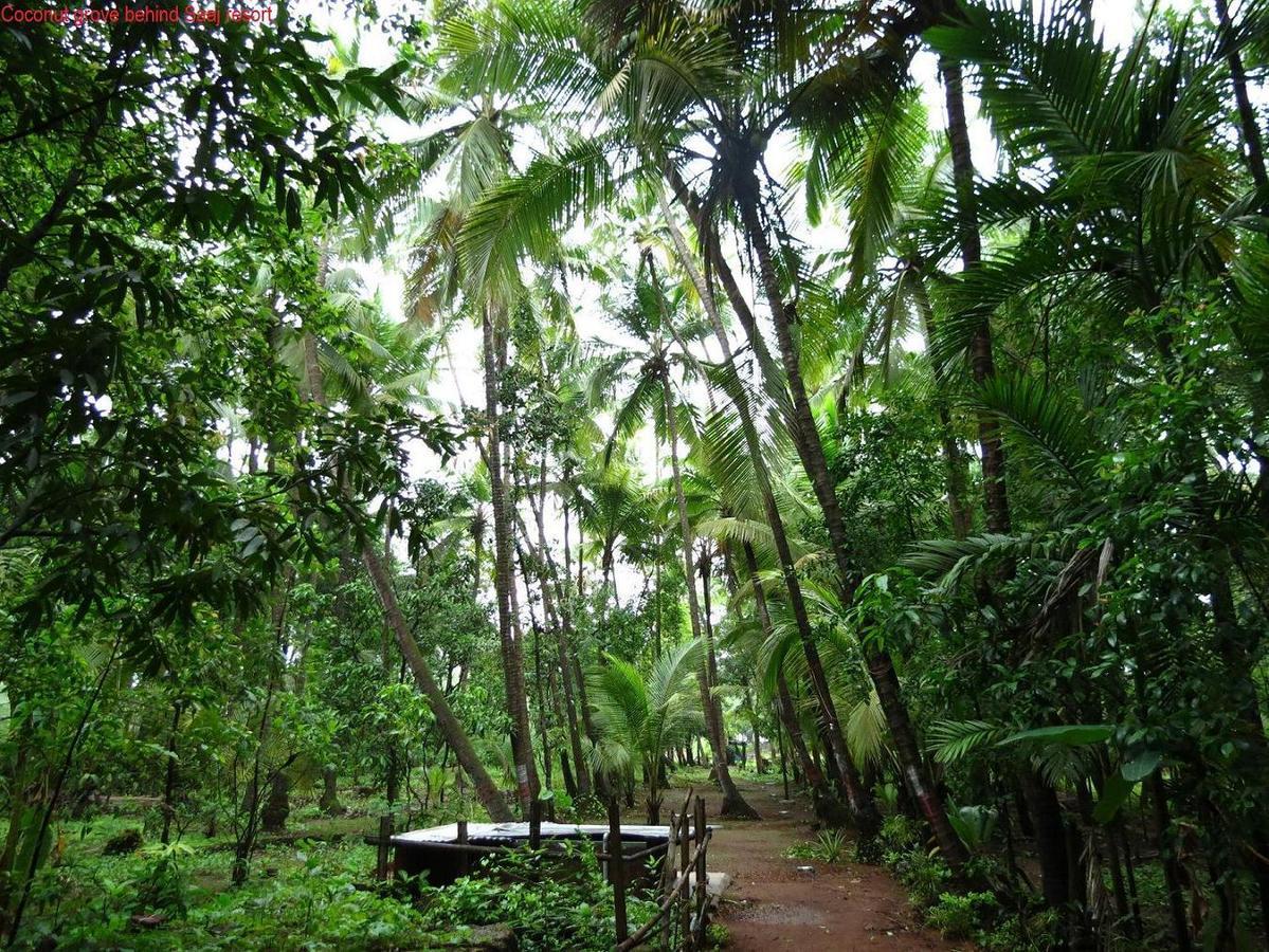 Saaj Resort Dāpoli Extérieur photo